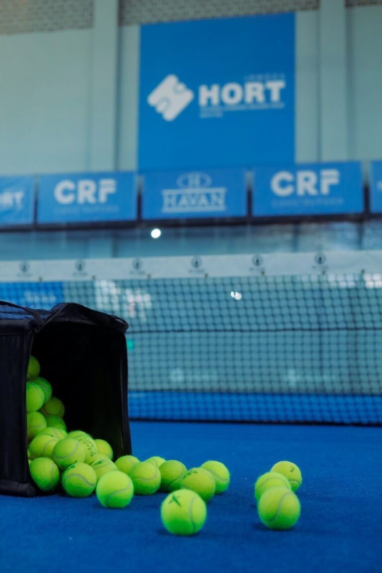 WhatsApp Image 2024-10-03 at 11.30.01